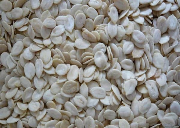 خرید مغز تخم ژاپنی + قیمت فروش استثنایی